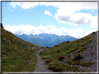 foto Forcella Pala del Becco